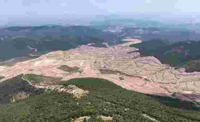 Kaz Dağları'nda Yüzbinlerce Ağacı Kesen Alamos Gold, Devletten Tazminat Alarak Sahadan Çekildi