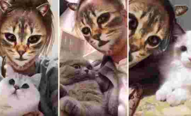Kedi Filtresiyle Tanışan Kedilerin Efsane Tepkileri!