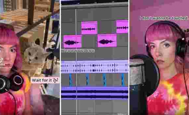 Kedi Miyavlamasını Muhteşem Bir Şarkıya Dönüştüren Yetenekli Müzisyen