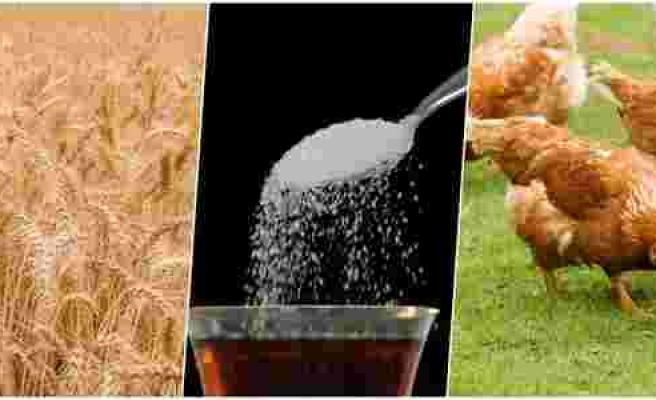 Kısıtlamalar Sürerken, Dünyada Gıda Güvenliği Meselesi Büyüyor: Buğdaydan Sonra Sıra Şekerde!