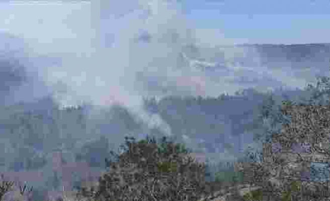 KKTC'de orman yangını