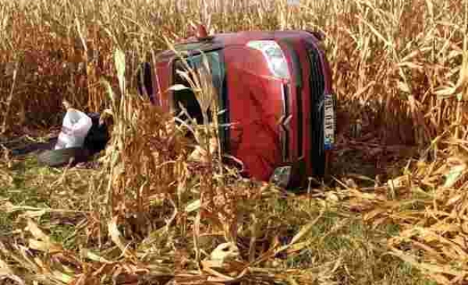 Kontrolden çıkan otomobil mısır tarlasına devrildi: 2 yaralı