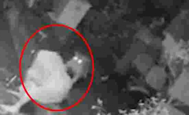 Korkunç görüntüler Evinin önünde oturan kadın, leopar saldırısına uğradı