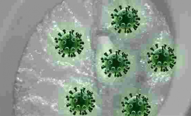 Koronavirüs 20 sene yaşayabilir