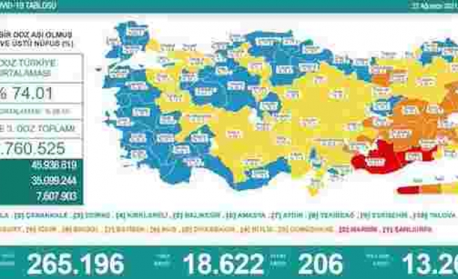 Koronavirüs Türkiye: 18 Bin 622 Yeni Vaka, 206 Ölüm...