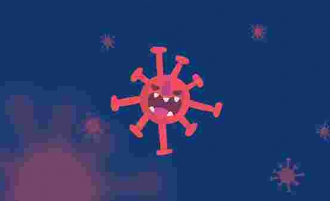 Koronavirüse Dair Her Şey: Nasıl Başladı? Aşı Ne Zaman Bulunacak?