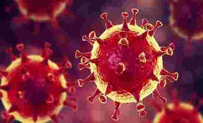 Koronavirüste riski yüksek iller