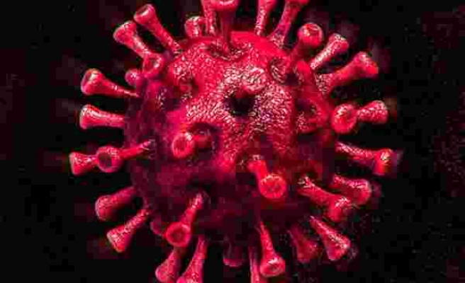 Koronavirüste son durum ne? Vaka sayıları açıklandı