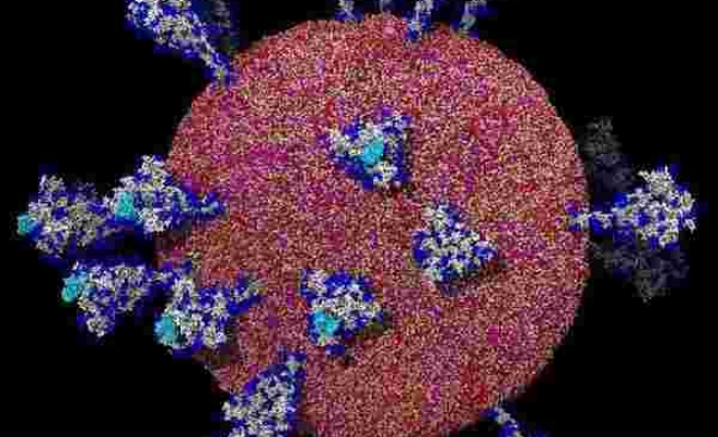 Koronavirüsün insan hücresine girdiği an ilk kez bu kadar net görüldü