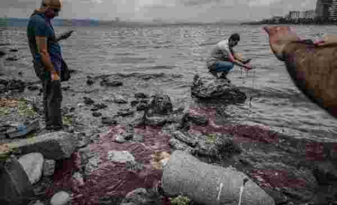 Küçükçekmece Gölü'nde Toplu Balık Ölümleri: 'Hem Su Kalitesi Hem de Biyoçeşitlilik Bitmiş Durumda'