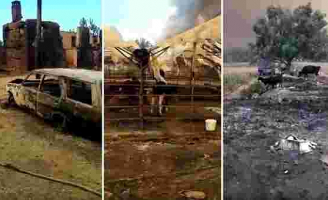 Manavgat'ta Meydana Gelen Yangının Boyutunu Gösteren Çiftçi Gözyaşları İçinde Kaldı