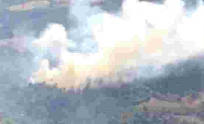 Manisa’da Orman Yangını: Ekiplerin Müdahalesi Sürüyor