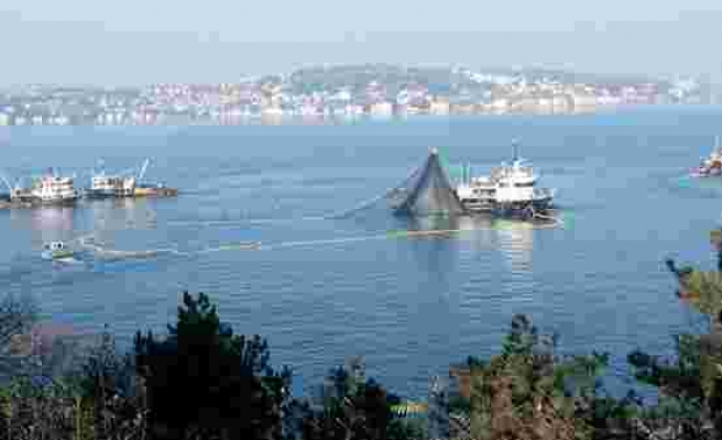Marmara'da balık stoku azaldı