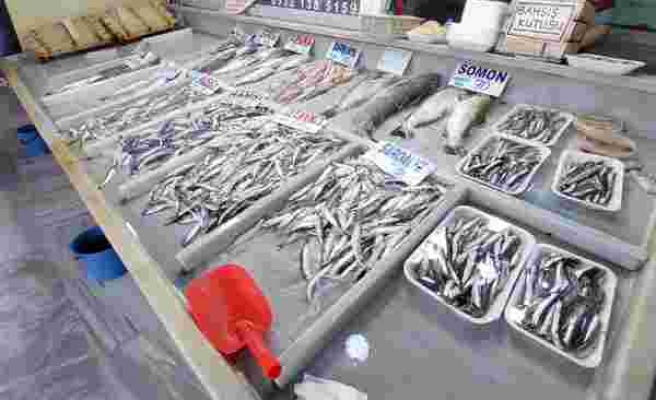 Marmara’da poyraz etkisini kaybetti, balık fiyatlarında düşüş bekleniyor