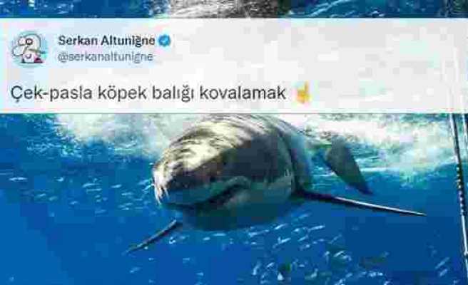 Marmaris Sahilindeki Köpek Balığı Panik Yaratmadı: Vatandaşlardan Paspaslı Müdahale...