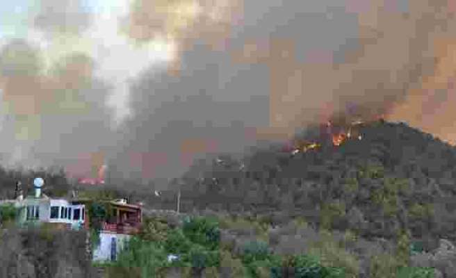 Mersin'de orman yangını: Havadan ve karadan müdahale ediliyor