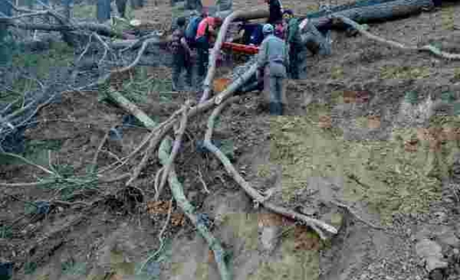 Mersin'de yaralı orman işçisi 2 kilometre sedyede taşınarak hastaneye ulaştırıldı