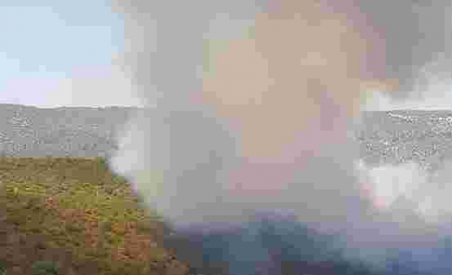 Milas ve Bodrum'da Orman Yangını Çıktı