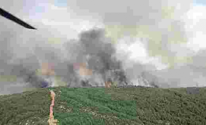 Muğla’daki orman yangını havadan ve karadan müdahaleye karşın büyüyor