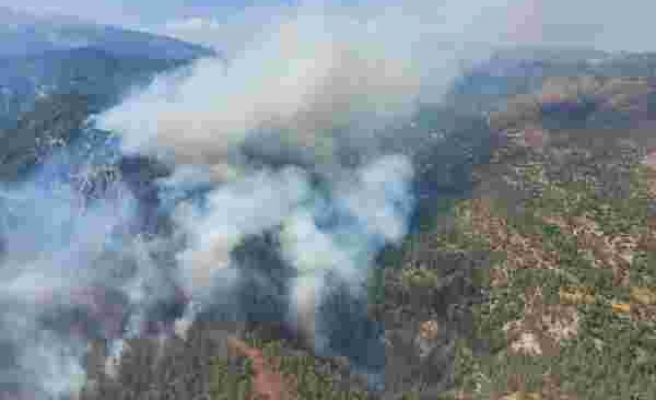 Muğla Köyceğiz'de Yeniden Orman Yangını