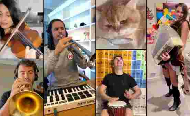 Namnam Kedi Lakaplı Leo'ya Dünyanın Dört Bir Yanından Müzisyenler Eşlik Etti Ortaya Muhteşem Bir Mashup Çıktı