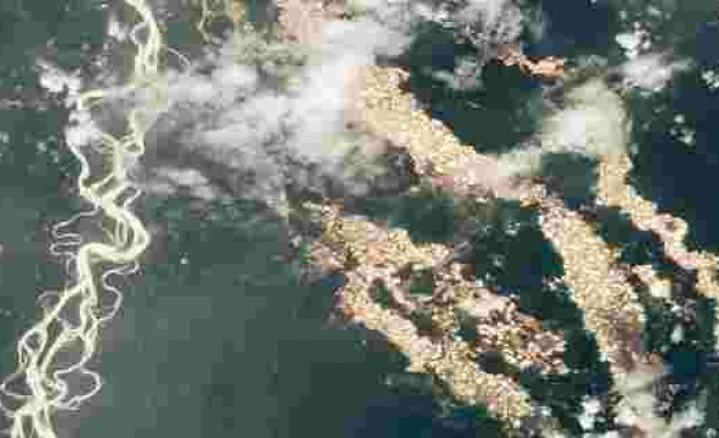 NASA yayınladığı fotoğraflarla Amazon'un 'altın nehirlerini' ortaya çıkardı