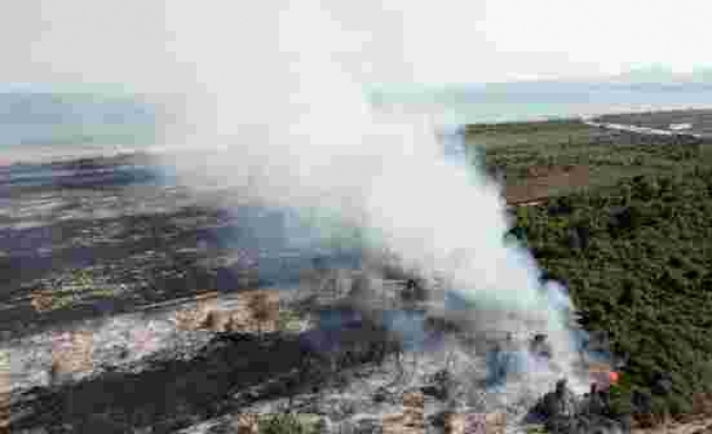 Nisan'da Statüsü Değişiyor, Eylül'de Yangın Çıkıyor: UNESCO Listesindeki Kızılırmak Deltası Yangınında Kundaklama Şüphesi
