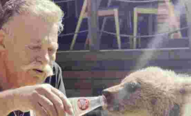 Nuri Alço yavru ayıyı gazozla besledi