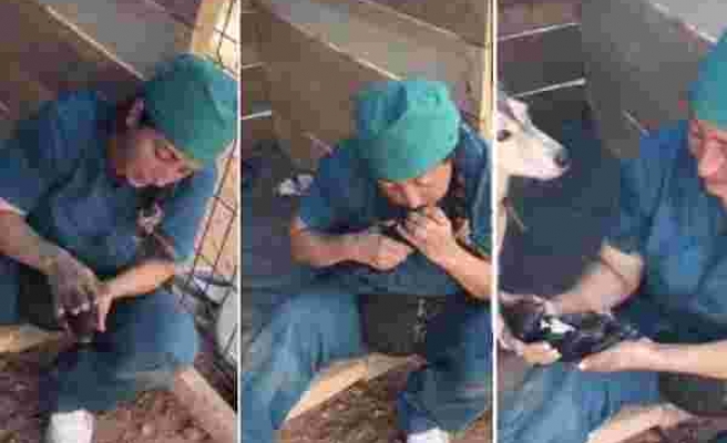 Ölü Doğan 4 Yavru Köpeği Kalp Masajı Yaparak Hayata Döndürdü: 'Kim Olsa Aynı Şeyi Yapardı'