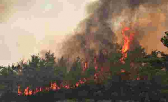 Orman yangınları ile mücadele eden Antalya’ya yağmur müjdesi