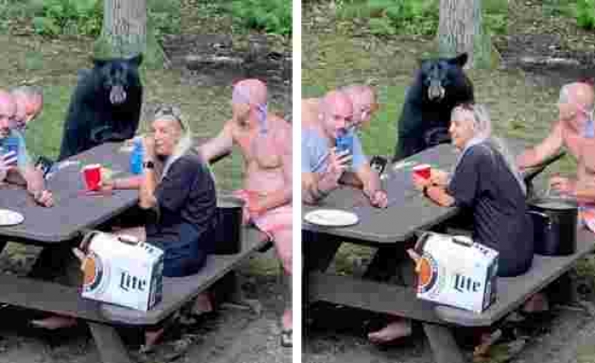 Ormana Piknik Yapmaya Giden Ailenin Masasına Misafir Olan Ayı