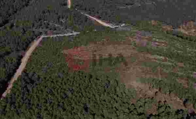 Pendik’te Aydos Ormanı’nda PKK’lı teröristin yaktığı ormanlık alanın son hali havadan görüntülendi