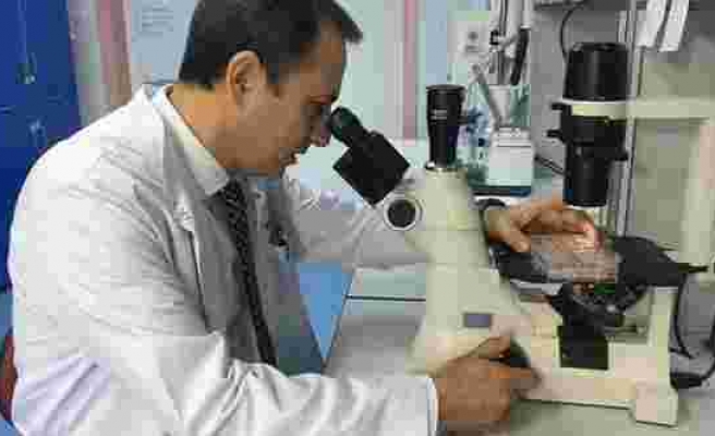 Prof. Dr. Kadir Yeşilbağ: Corona virüsü aşısı en erken yıl sonunda hazır olur