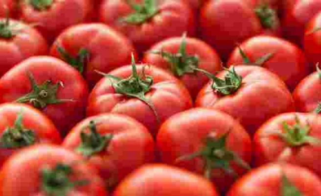 Rusya'dan domates kararı: Kotayı artırdı