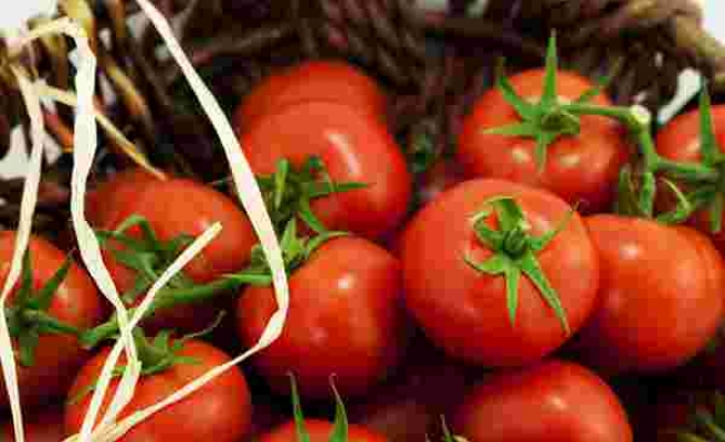 Rusya’ya domates ve biber ihracatındaki analiz zorunluluğu kaldırıldı
