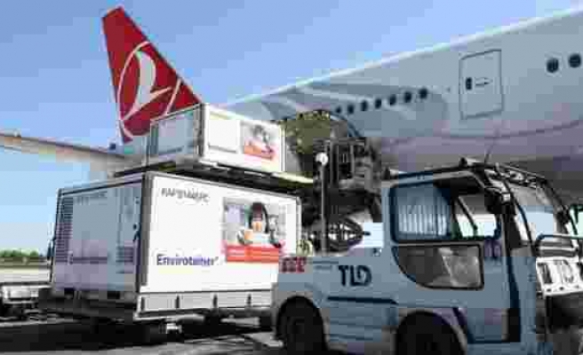 Sağlık Bakanlığı duyurdu: Aşılar bu sabah Türkiye’ye geldi