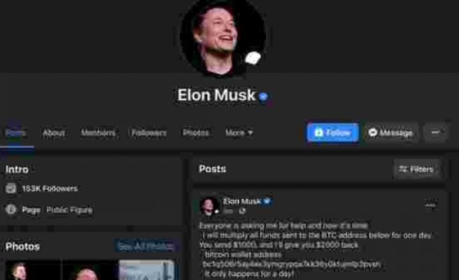 Sahte Elon Musk 