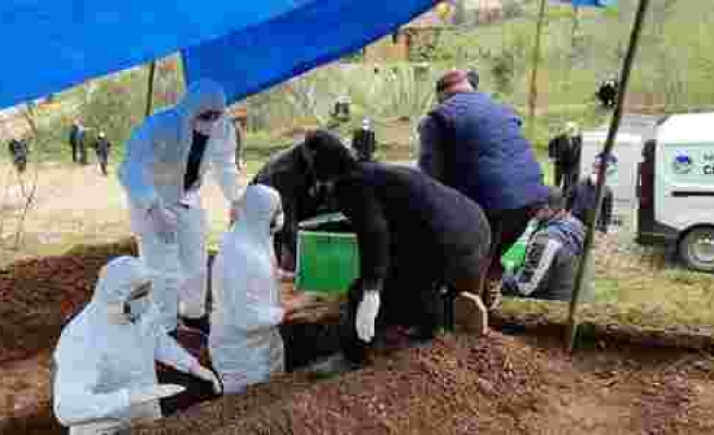 Sakarya'da Aynı Aileden 5 Kişi Korona Nedeniyle Hayatını Kaybetti: 5 Kişi İse Tedavi Altında