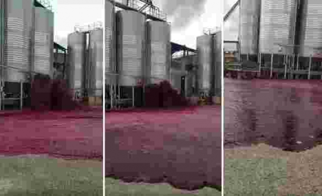 Şarap Fabrikasında Tankın Patlaması ile 50 Bin Litre Şarap Çevreye Yayıldı