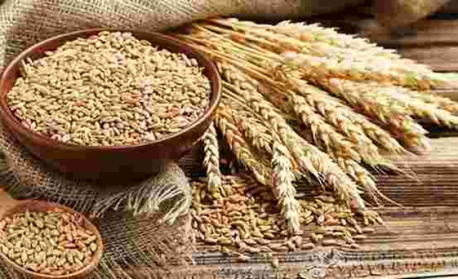 Savaş, Sıcak Derken Hindistan Ekmek Vermez Oldu: Buğday İhracatını Durdurunca Fiyatlar Fırladı