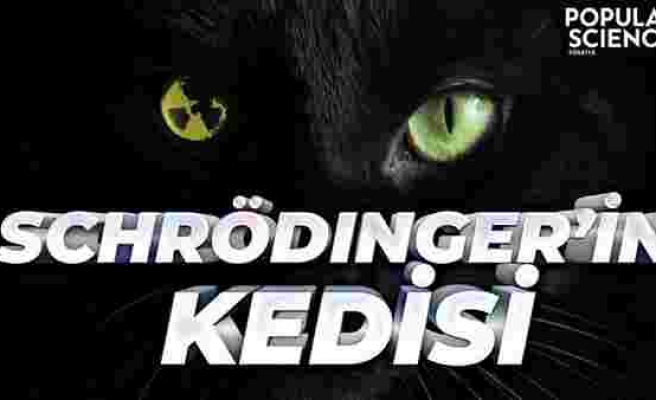 Schrödinger'in Kedisi Hayatta mıydı