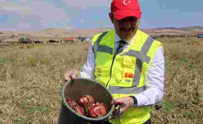 Sivas Valisi Ayhan traktörle patates hasadı yaptı