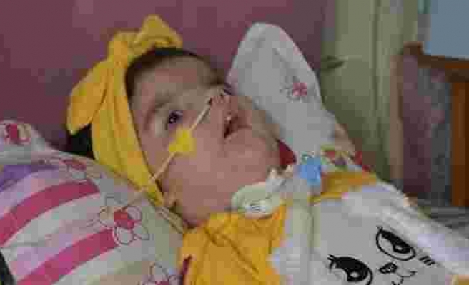 SMA hastası 17 aylık Yaren, tedavi için destek bekliyor