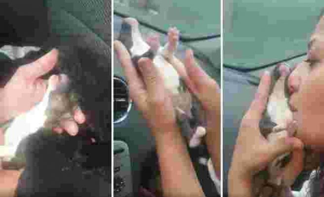 Soğuktan Donan Yavru Köpeği Masaj Yaparak ve Isıtarak Hayata Döndüren Güzel İnsan
