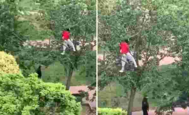 Sokağa Çıkma Yasağında Güvenlik Güçlerinden Ağaca Tırmanarak Saklanan Genç