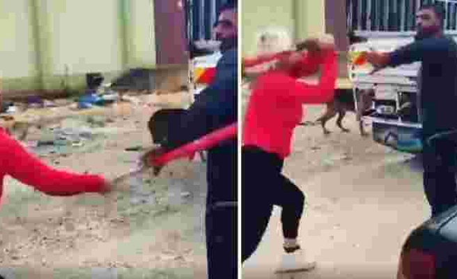 Sokak Hayvanlarının Mama Kaplarını Aldığı İçin Hurdacıyı Beyzbol Sopasıyla Döven Kadın