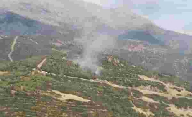 Son dakika haberleri İzmir’in iki ilçesinde orman ve makilik yangını 1