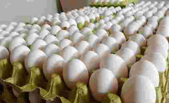 Son Dakika! Rekabet Kurumu, yumurta sektörüne yönelik 2 ayrı soruşturma başlattı - Haberler