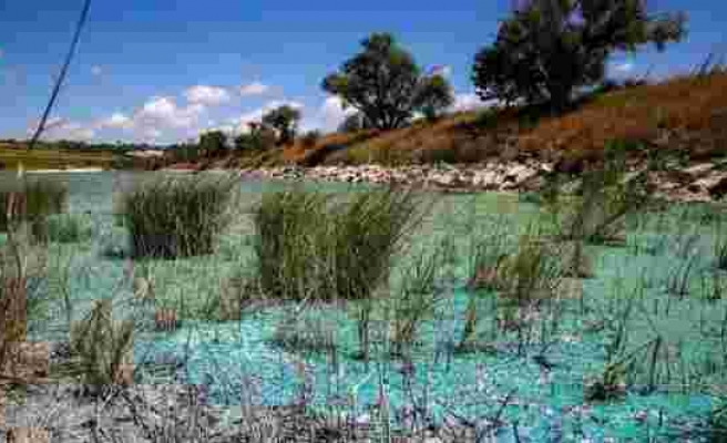 Su kaynaklarında siyanobakteri tehlikesi: Tarımda bile kullanılmamalı