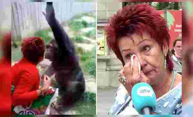 Sürekli Olarak Gittiği Hayvanat Bahçesinde Bir Maymunu Ziyaret Eden Kadın Hayvanat Bahçesinden Uzaklaştırıldı